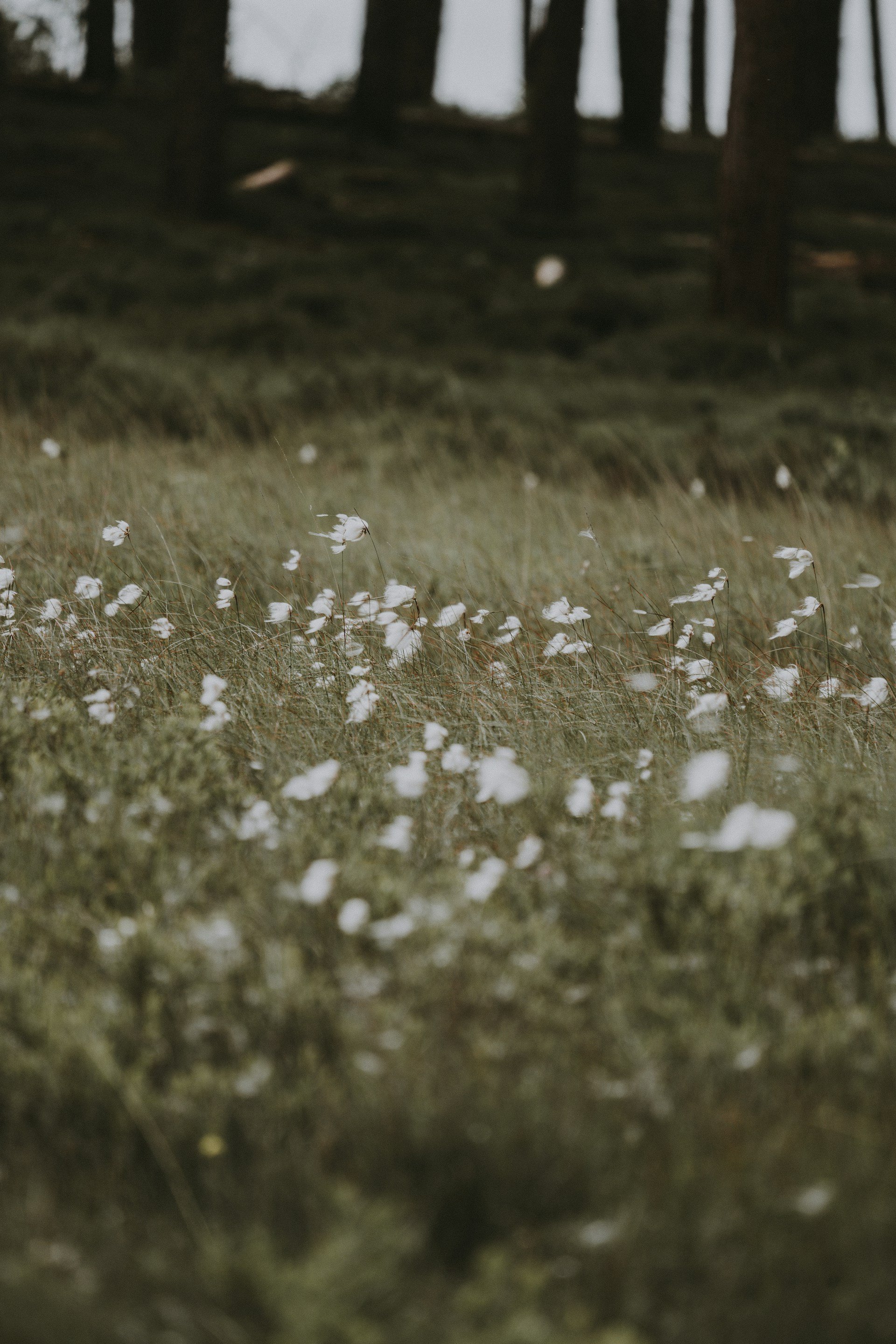 Photography work
