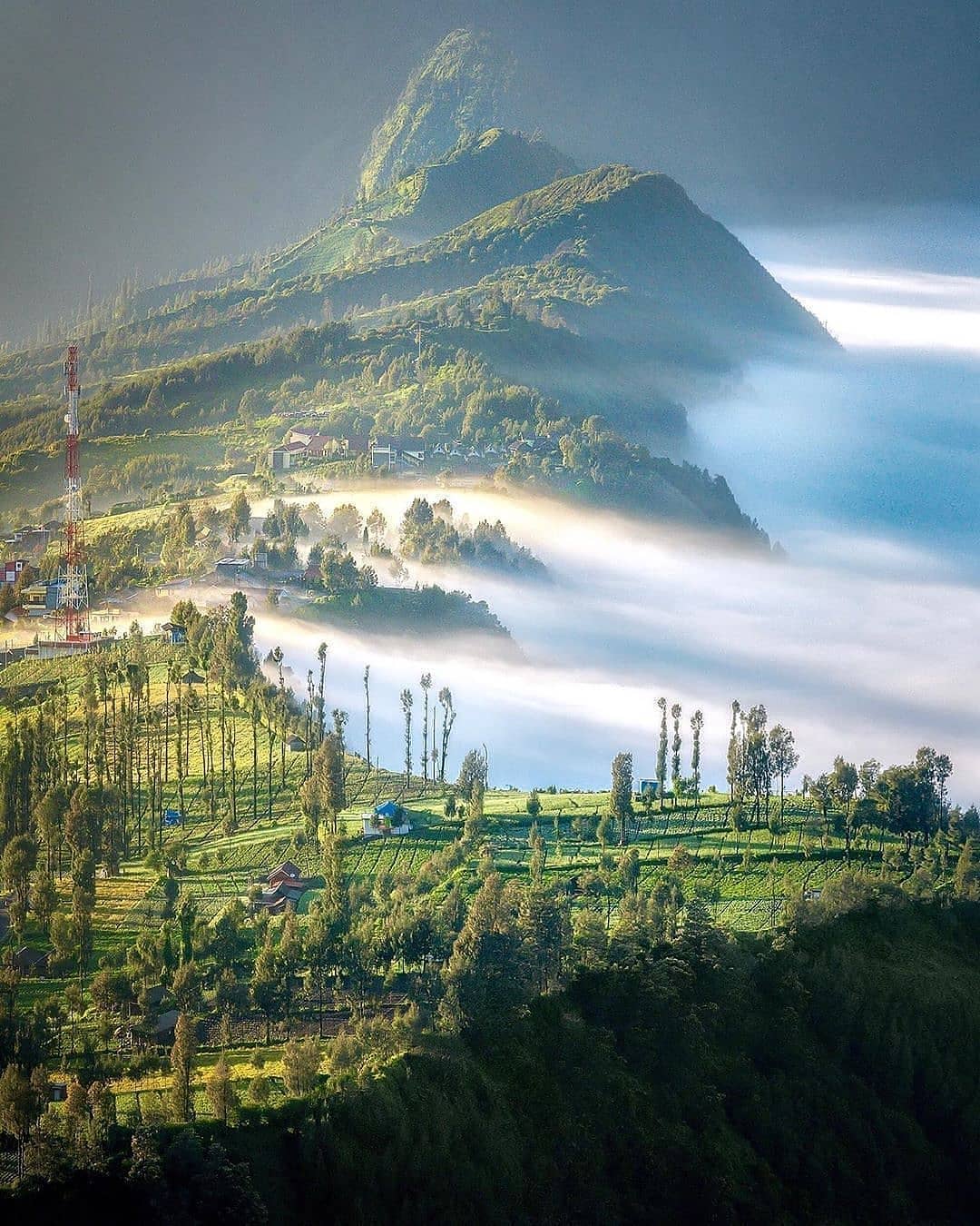 Waktu Terbaik Liburan ke Jawa Timur: Bromo, Ijen, dan Pantai Malang Selatan