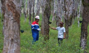 4735e190-2bf1-4474-a937-a36999bbab4c