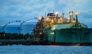 WhatsApp Image 2025-10-12 at 07.56.53