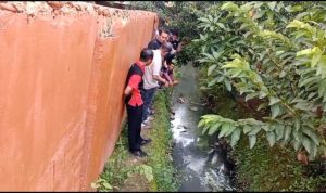 Screenshot_20251106-173246_WhatsApp