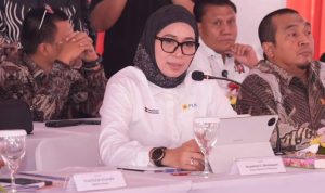 WhatsApp Image 2026-03-11 at 15.59.41