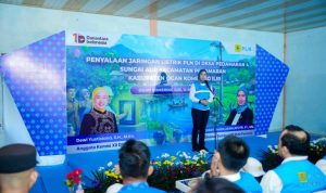 WhatsApp Image 2026-03-12 at 15.45.51