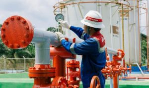 WhatsApp Image 2026-03-26 at 09.35.52