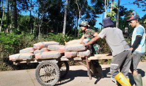 IMG-20260721-WA0045