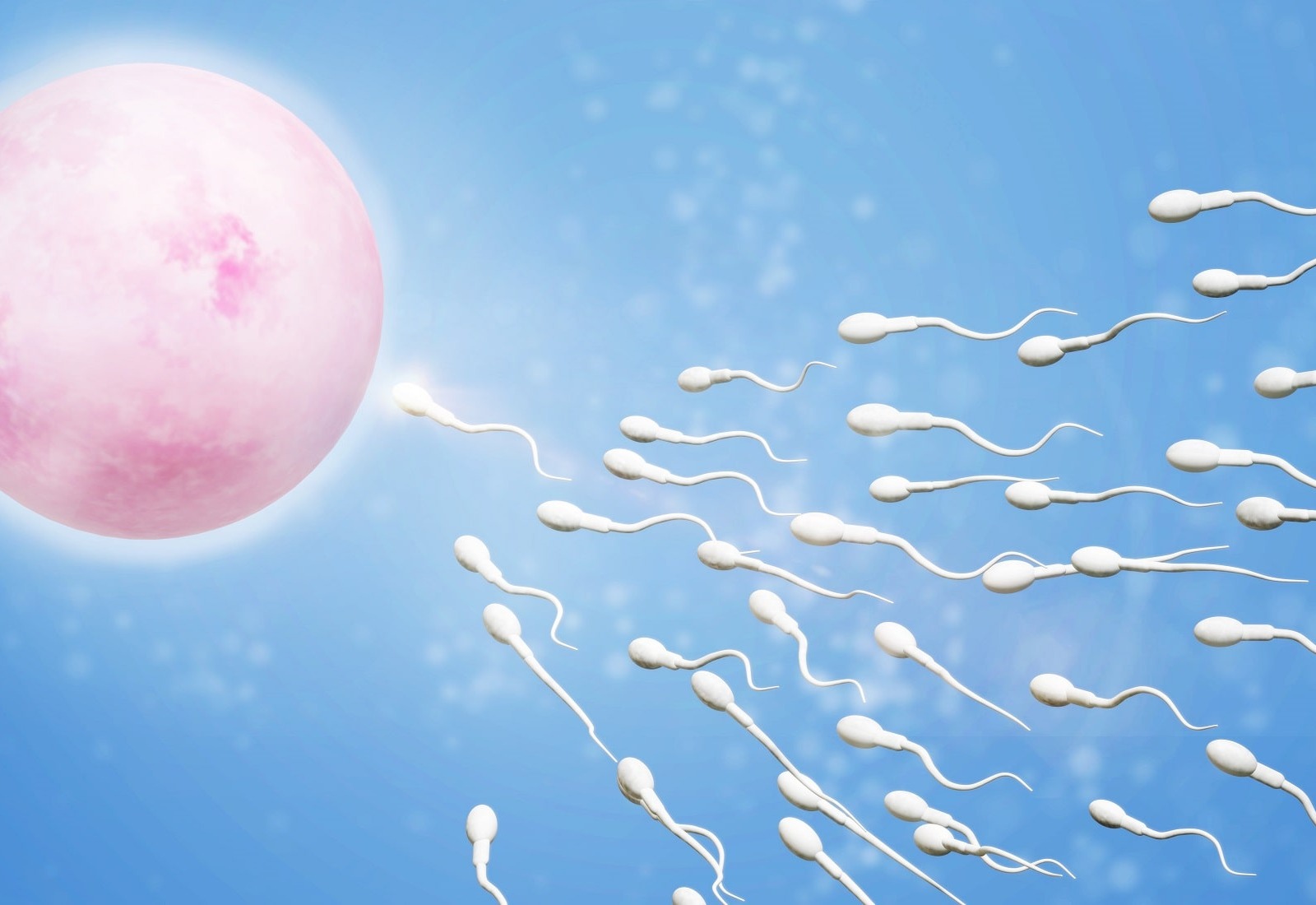 Inseminasi Buatan: Sukseskan Kehamilan dengan Risiko Minimal 