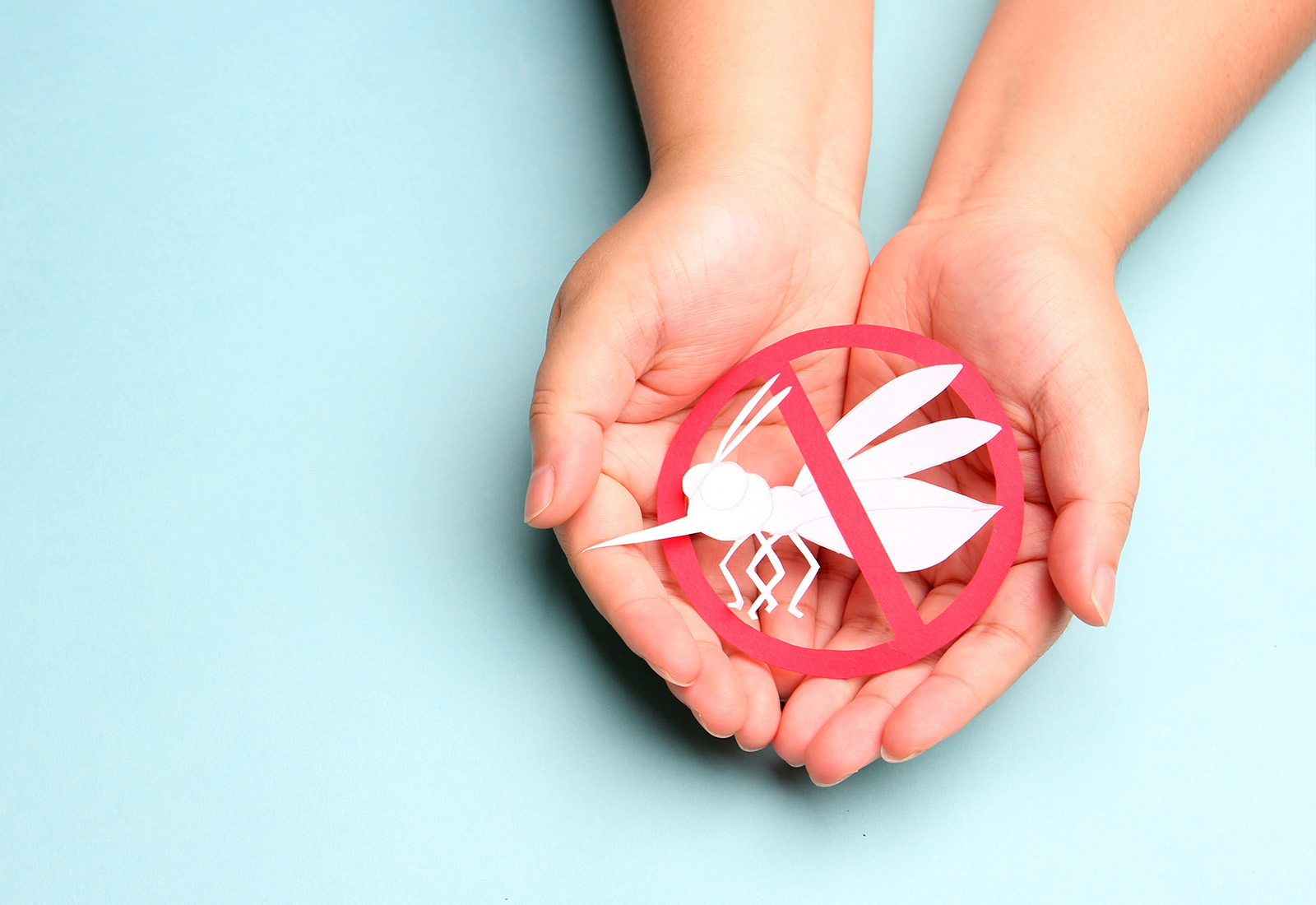 Mari Cegah Demam Berdarah dengan Vaksin DBD