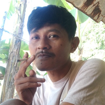 samsul palah
