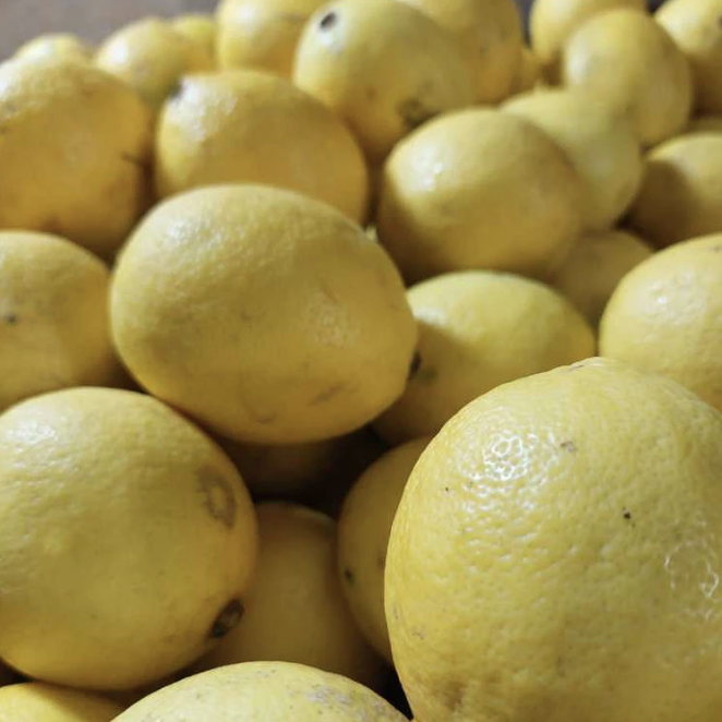 Lemon California Fresh Super Segar