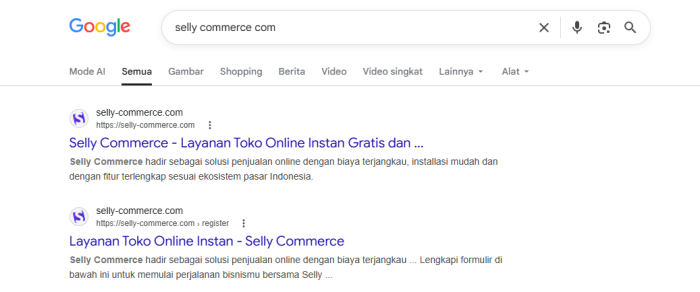 Pastikan hal-hal ini agar produkmu dapat ditemukan di Google