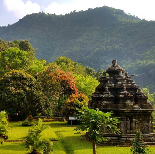 Day Tour Borobudur Temple Climb-up & Selogriyo Temple Ricefield Tour