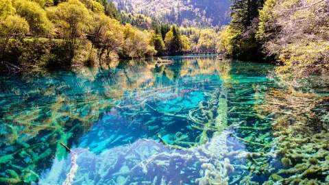 9D JIUZHAIGOU CHENGDU