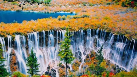 11D JIUZHAIGOU BIPENGGOU MUONIGOU