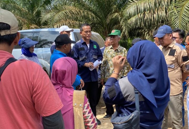 Konflik Lahan antara PT. Guathre Peconinna Indonesia dan Petani KUD Sinar Delima Berlanjut, Harapan Penyelesaian Masih Terbuka