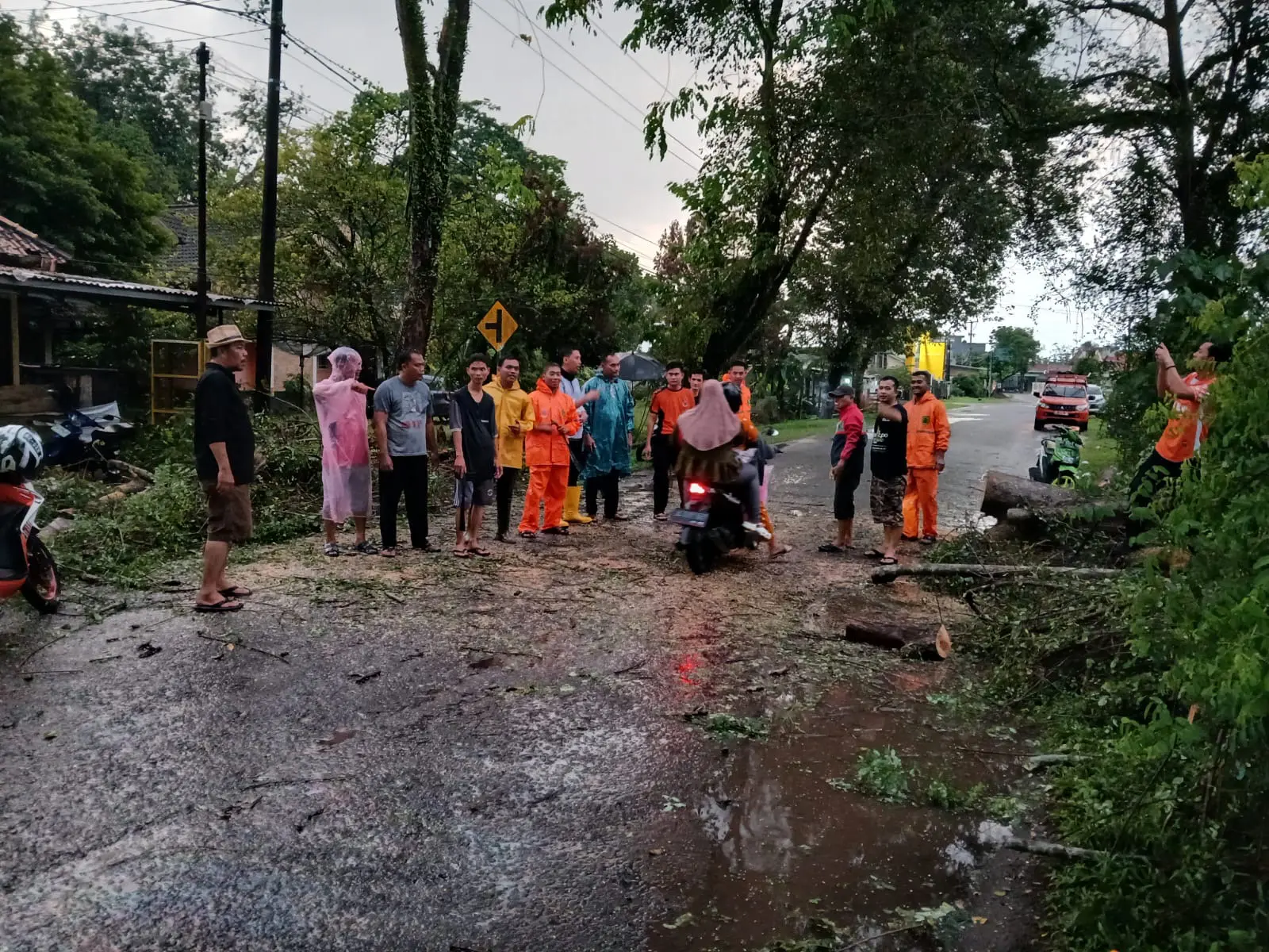 Respon Cepat, BPBD Muba Tuntaskan Pohon Tumbang yang Ganggu Akses Jalan Praja Permai