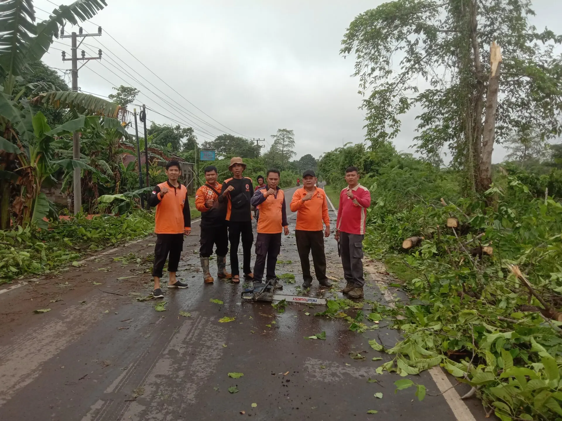 Bupati HM Toha Apresiasi Tim Gabungan Bergerak Cepat Evakuasi Pohon Tumbang di Sekayu
