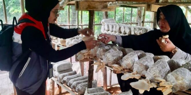 Ubah Limbah Bambu Jadi Peluang Ekonomi Sirkular