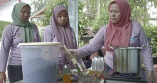 Program Pangan Sumsel Ubah Halaman Rumah Jadi Sumber Penghasilan Keluarga