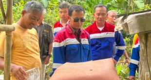 Perkuat Konservasi Lebah dan Eduwisata di Lembah Suhita Lampung