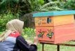 Kampanyekan Konservasi Lebah melalui World Bee Day 2026