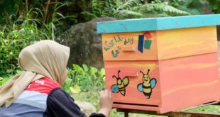 Kampanyekan Konservasi Lebah melalui World Bee Day 2026