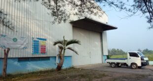 Ranting Muslimat NU Kembali Pasok Jagung ke Bulog, Wujud Nyata Pemberdayaan Perempuan