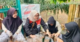 Sulap Limbah Serbuk Bambu Menjadi Peluang Usaha melalui Budidaya Jamur Tiram
