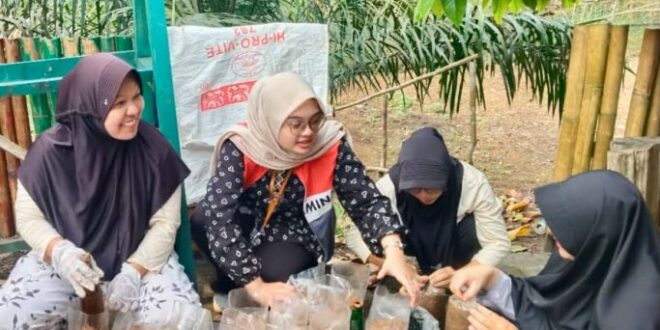 Sulap Limbah Serbuk Bambu Menjadi Peluang Usaha melalui Budidaya Jamur Tiram