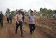 Siapkan 10 Hektar Lahan untuk Tanam Bawang Putih Siapkan 10 Hektar Lahan untuk Tanam Bawang Putih