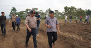 Siapkan 10 Hektar Lahan untuk Tanam Bawang Putih
