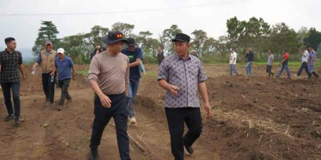 Siapkan 10 Hektar Lahan untuk Tanam Bawang Putih