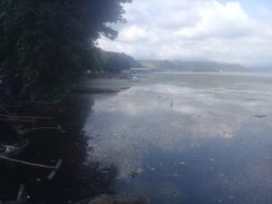 Tumpukan Sampah di Danau Ranau Ganggu Pemandangan, Pengunjung: Pak Bupati dan Anggota Dewan OKUS Tolong Carikan Solusi Permanen