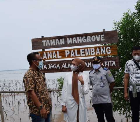 Renny Dukung Ekosistem Mangrove Menjadi Destinasi Wisata