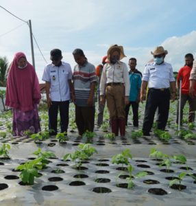Kelompok Tani Kedelai Minta Bantuan Alat Pertanian ke Renny Astuti