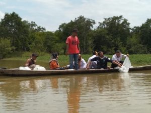 Ribuan Benih Ikan Jelawat Ditebar di Sungai Pengumbak Desa Petaling