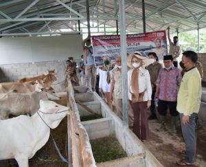 Dorong Petani Gunakan Pupuk Organik, Renny Salurkan Bantuan UPPO ke Petani