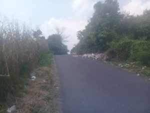 Miris! Sudah Dilarang Tapi Tumpukan Sampah Masih Ditemukan di Tepi Jalan Desa Pedagan