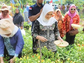 Sukses Terapkan GSMP, Warga Sugiwaras Kelurahan Talang Jambe Diapresiasi
