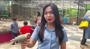 Serunya Libur Lebaran ke Bird Park Palembang