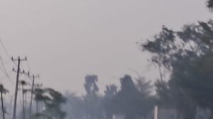 Kualitas Udara di Palembang Memburuk Akibat Karhutla