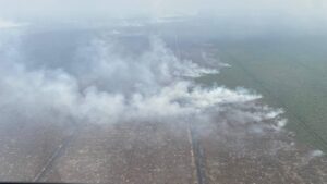 Luas Lahan Terbakar di Sumatera Selatan Meningkat Menjadi 32.496 Hektar