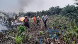 Kebakaran Hutan Gambut di Megang Sakti, Hanguskan Lahan di Dua Desa
