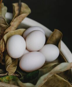 Telur Ayam Kampung: Keajaiban Nutrisi dan Manfaat untuk Kesehatan Tubuh