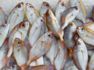 Manfaat Ikan Air Tawar untuk Kesehatan Tubuh: Jenis-Jenis dan Tips Konsumsi