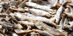Ikan Asin: Lezat dan Berkhasiat untuk Kesehatan