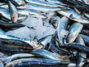 Manfaat Ikan Makarel: Sumber Nutrisi Tinggi untuk Kesehatan Jantung dan Otak