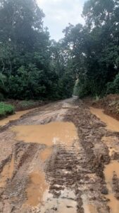 Akses Jalan Desa Pelawe Rusak Berat, Masyarakat Kesulitan Mengangkut Hasil Tani