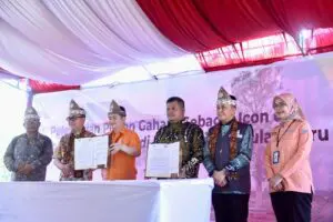 Pj Gubernur Agus Fatoni Dukung Pelestarian Tanaman Gaharu Sebagai Ikon Baru Sumsel